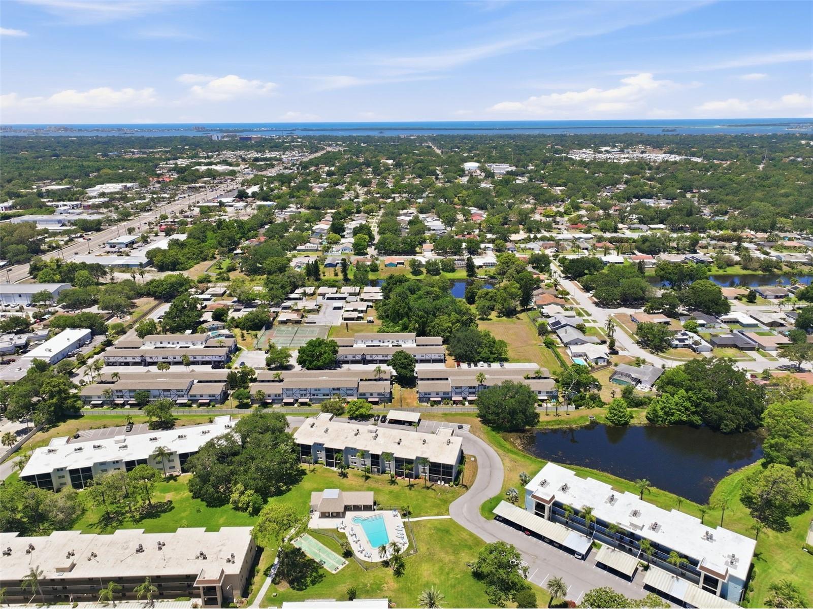 1127 King Arthur Court #316 Dunedin FL 34698 TB8508894 image39