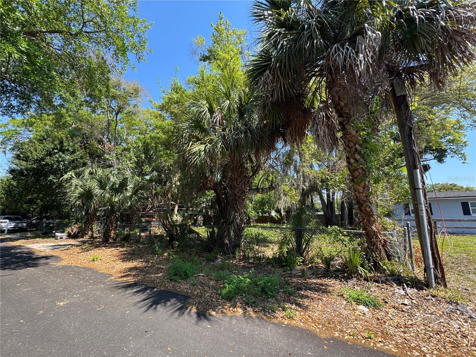 1127 Martha Drive Daytona Beach FL 32114 V4948538 image1