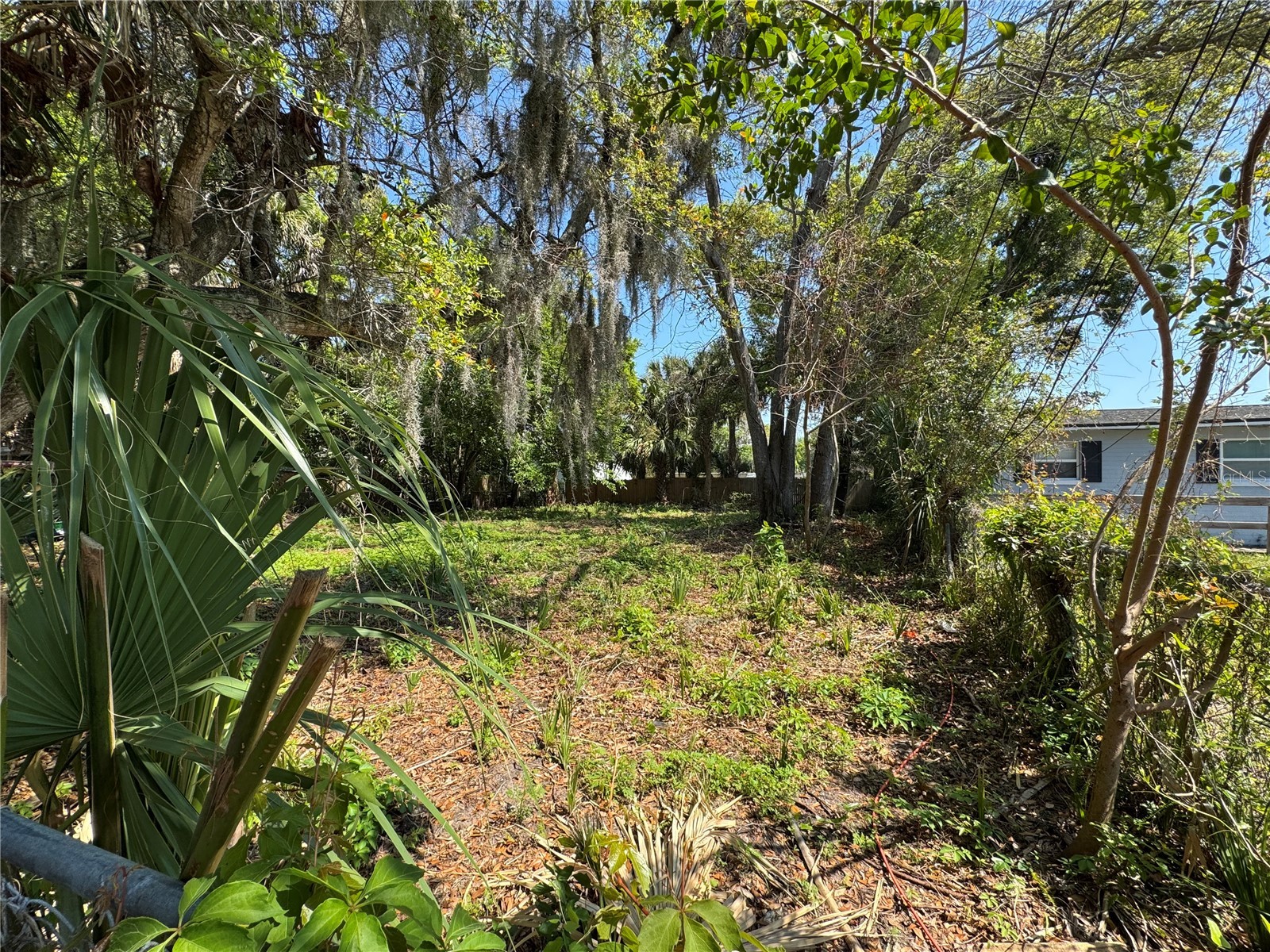 1127 Martha Drive Daytona Beach FL 32114 V4948538 image2