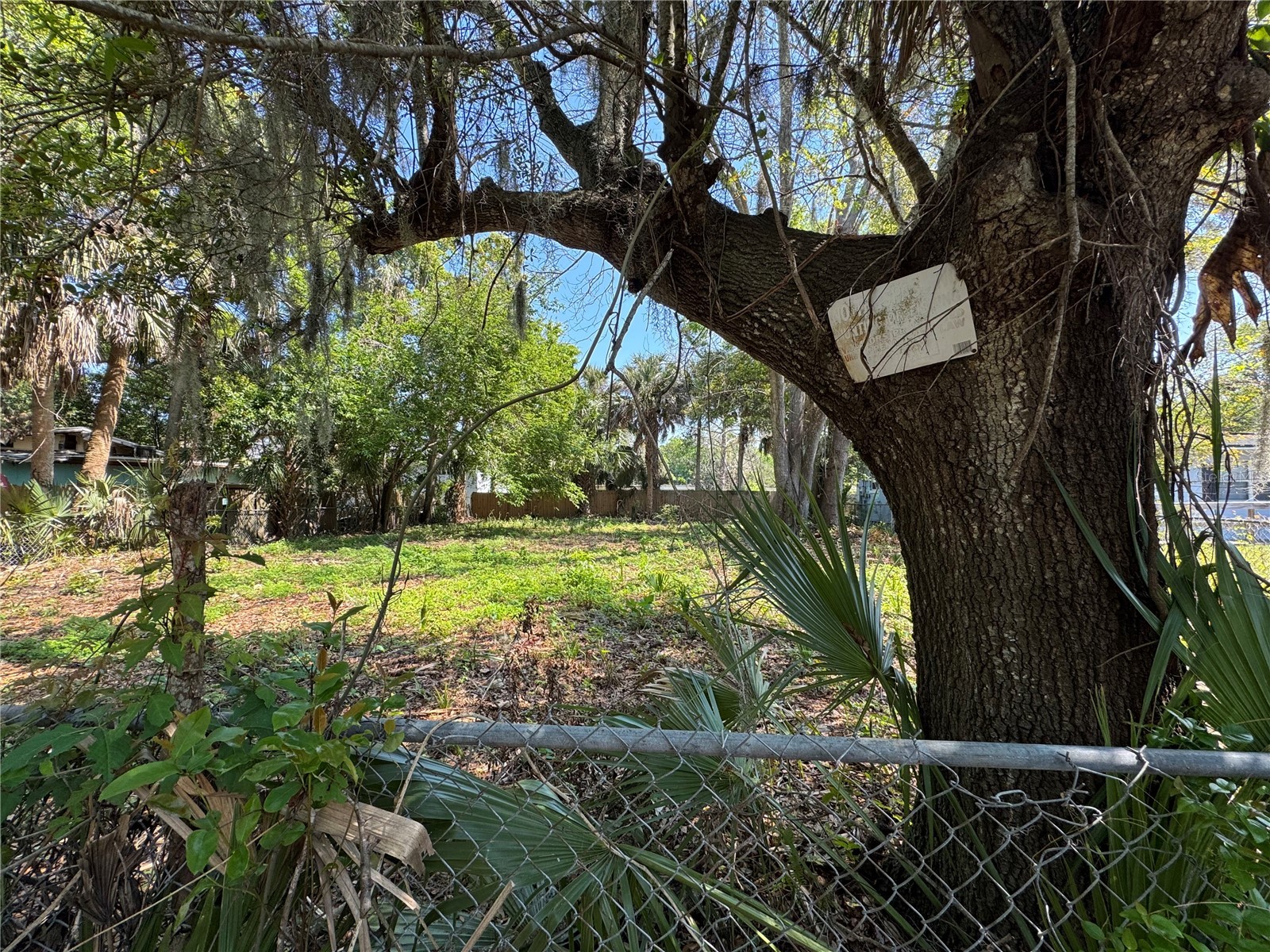 1127 Martha Drive Daytona Beach FL 32114 V4948538 image4