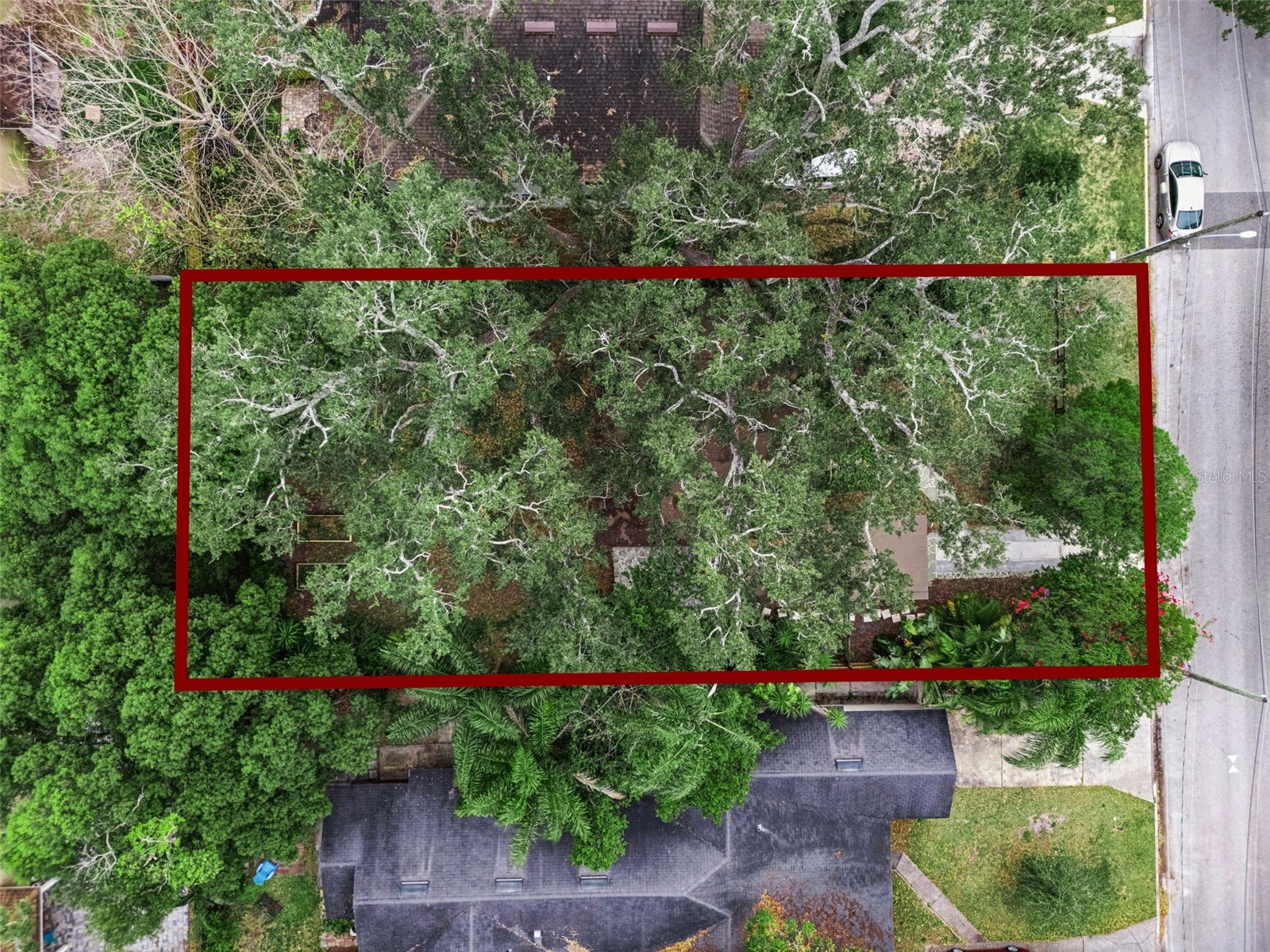 1127 Morris Avenue Orlando FL 32803 S5141095 image43