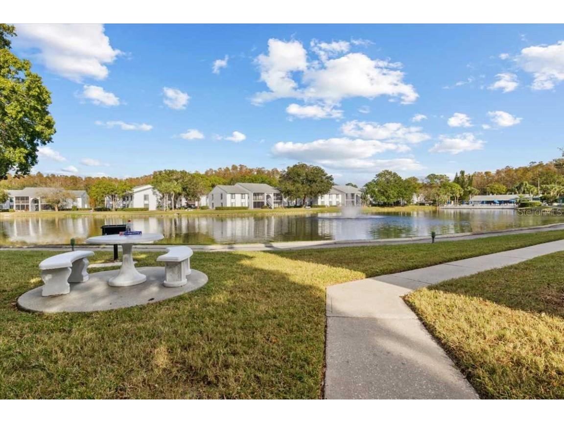 1127 Pine Ridge Circle W #A2 Tarpon Springs FL 34688 TB8442544 image15
