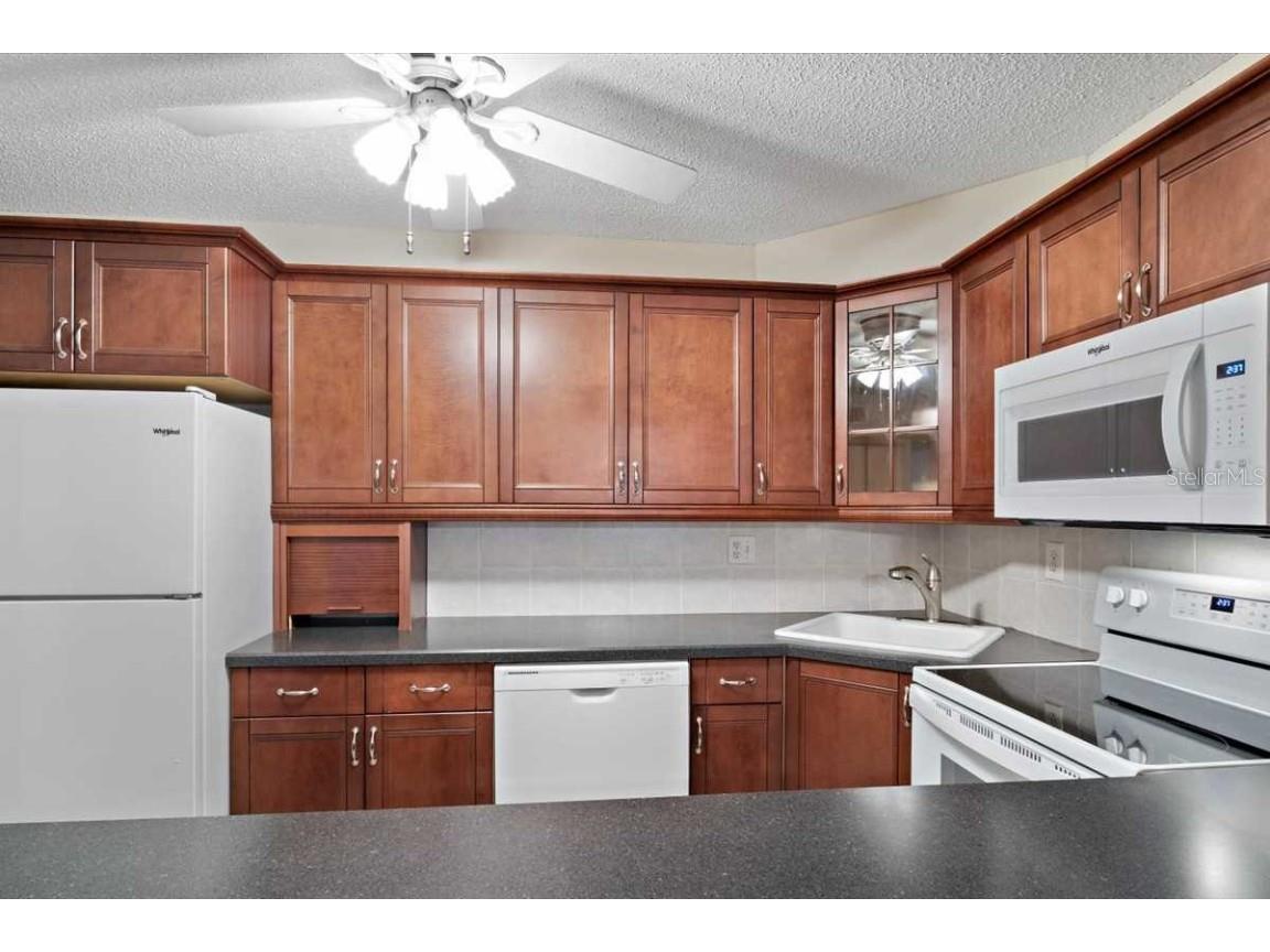 1127 Pine Ridge Circle W #A2 Tarpon Springs FL 34688 TB8442544 image5