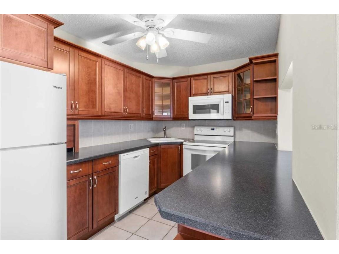 1127 Pine Ridge Circle W #A2 Tarpon Springs FL 34688 TB8442544 image6