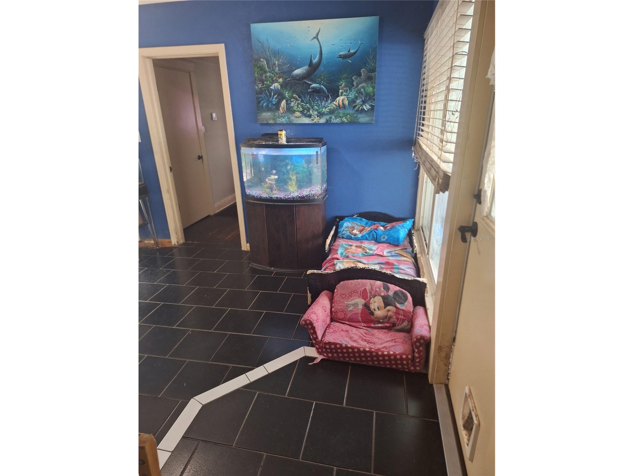 1127 S Lakeshore Boulevard Lake Wales FL 33853 - LAKE WAILES P4937553 image19