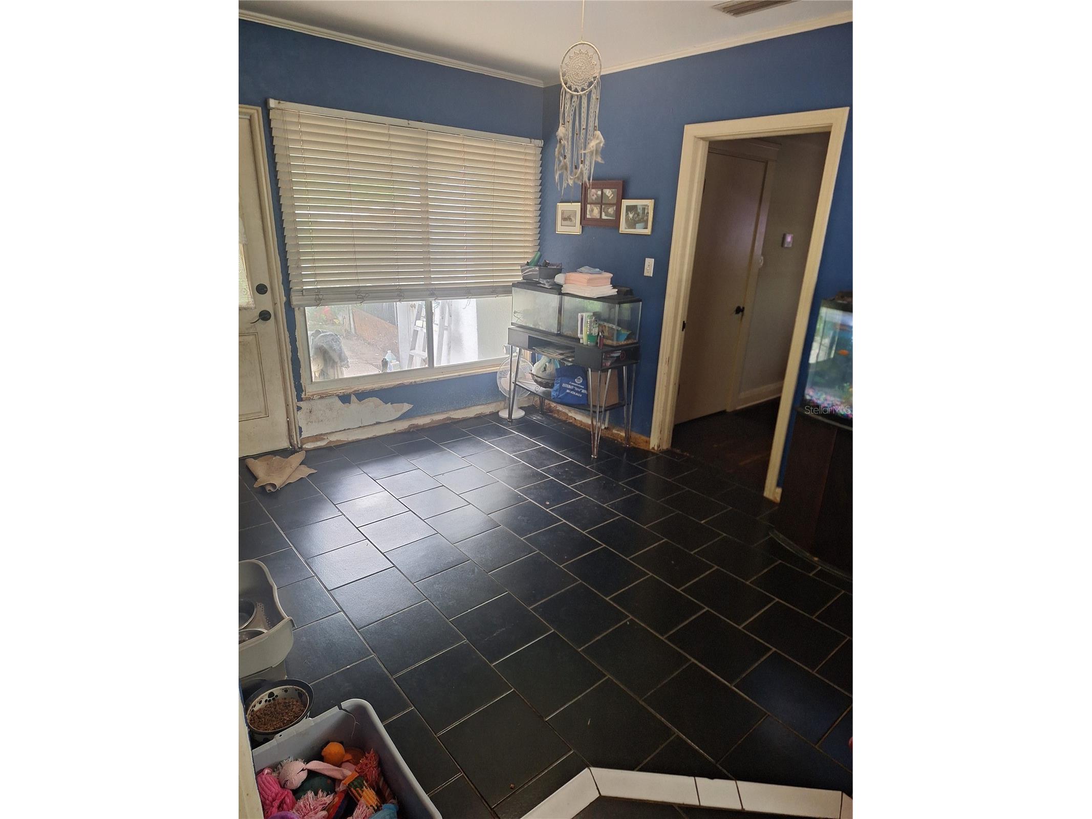 1127 S Lakeshore Boulevard Lake Wales FL 33853 - LAKE WAILES P4937553 image20