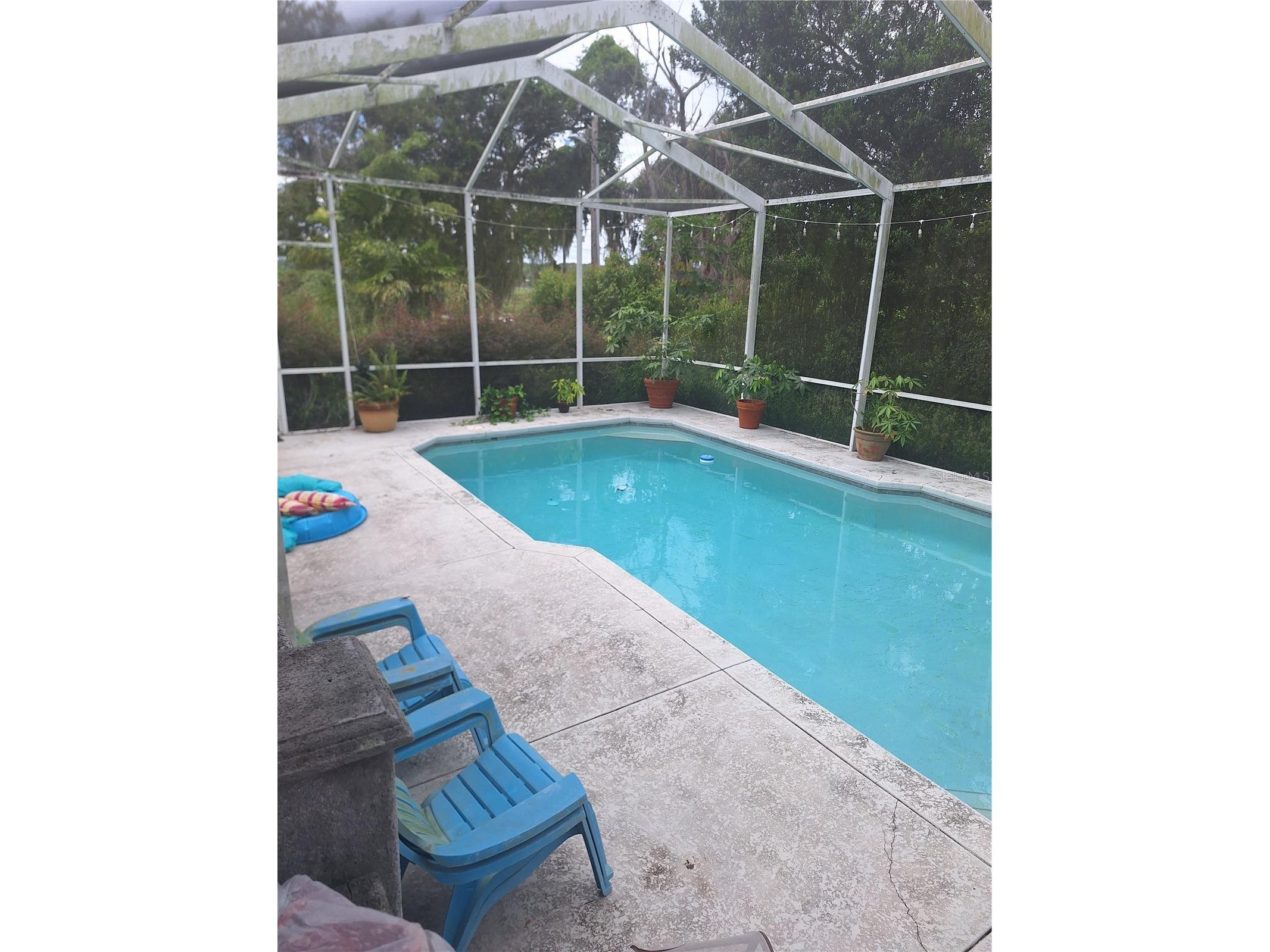 1127 S Lakeshore Boulevard Lake Wales FL 33853 - LAKE WAILES P4937553 image31