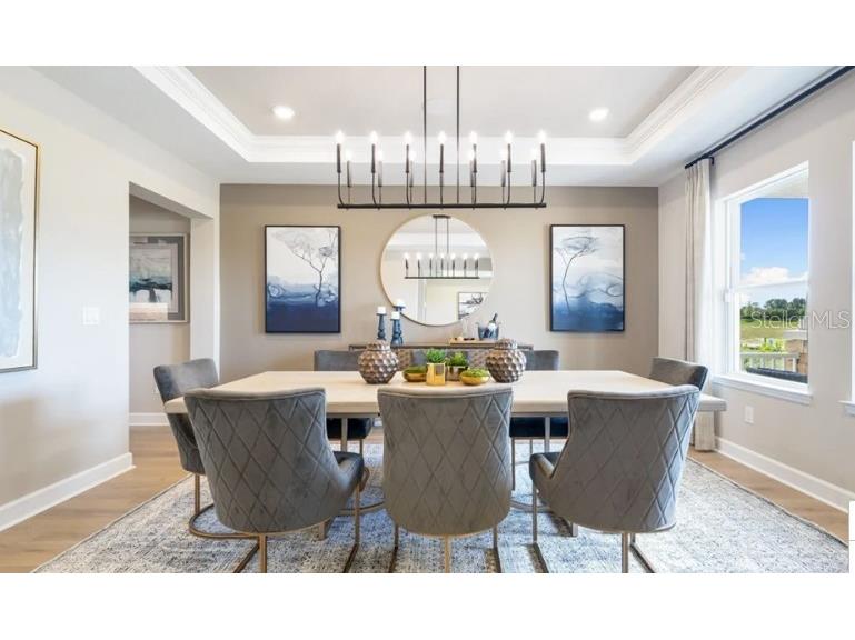 11270 Kingly Lane Odessa FL 33556 TB8495067 image9