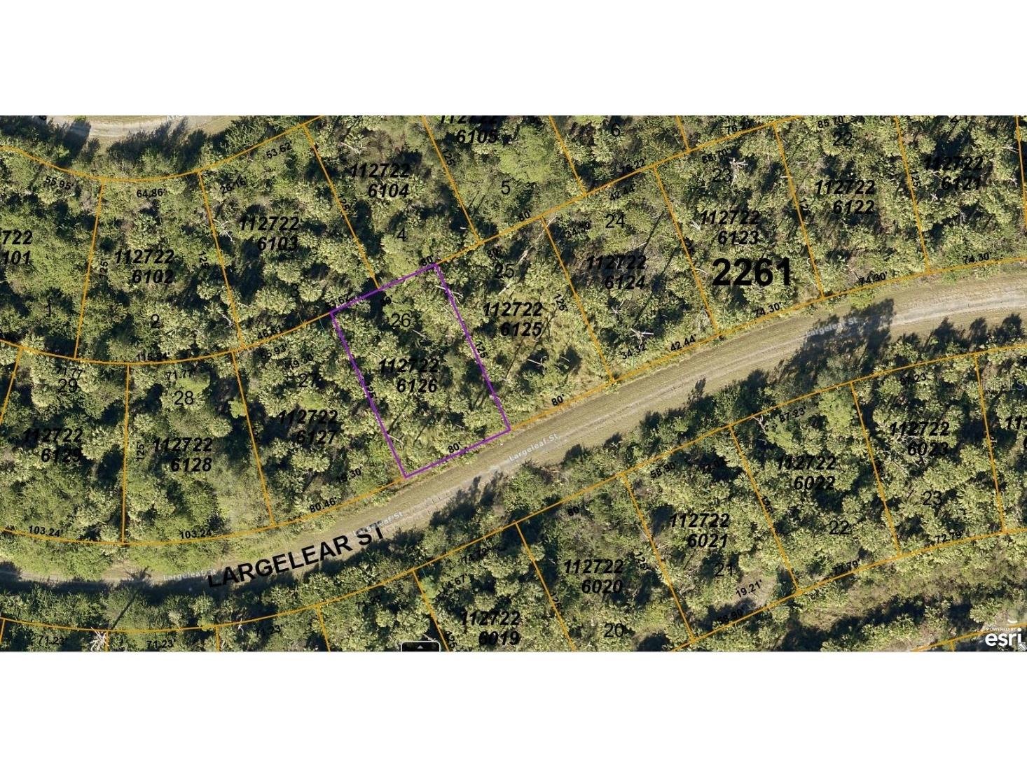 1127226126 Largeleaf Street North Port FL 34288 A4572011 image1