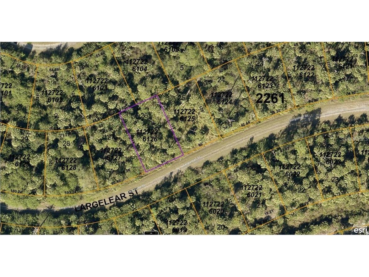 1127226126 Largeleaf Street North Port FL 34288 A4589648 image1
