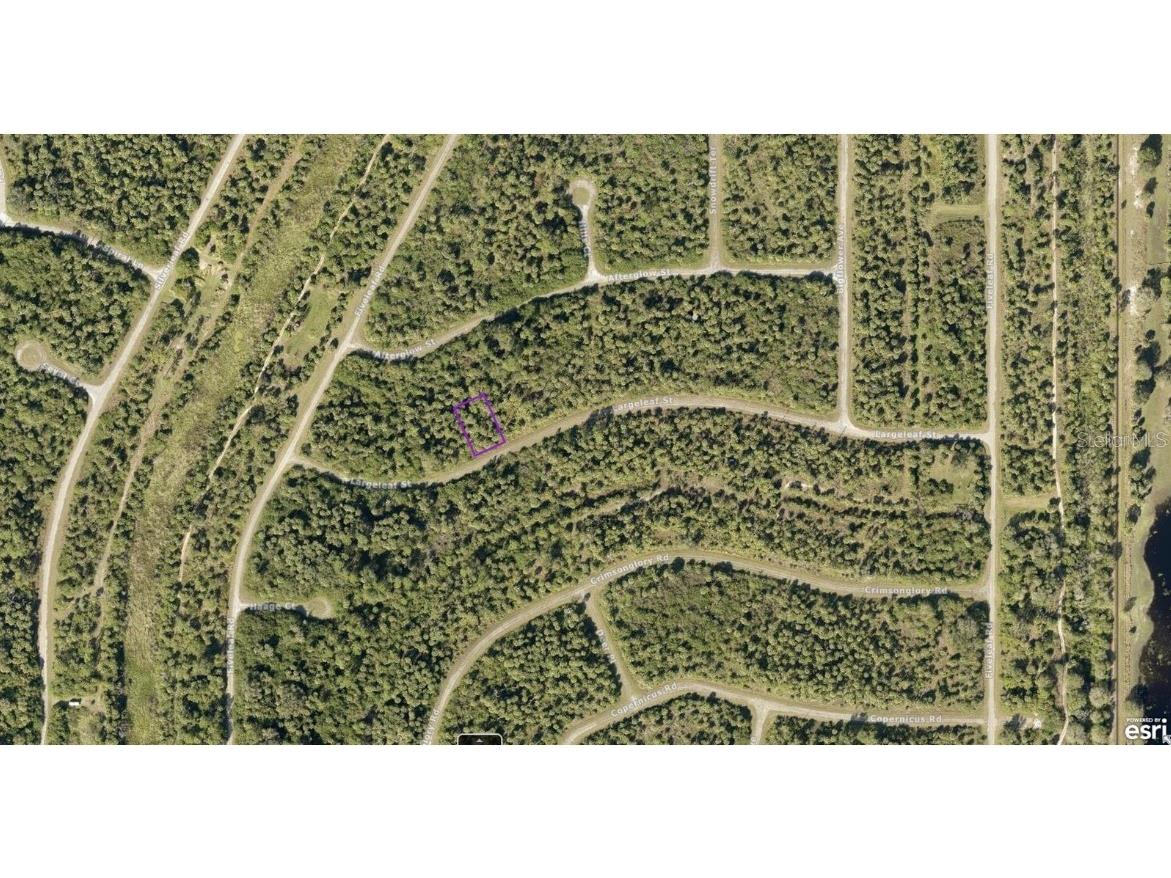 1127226126 Largeleaf Street North Port FL 34288 A4589648 image2
