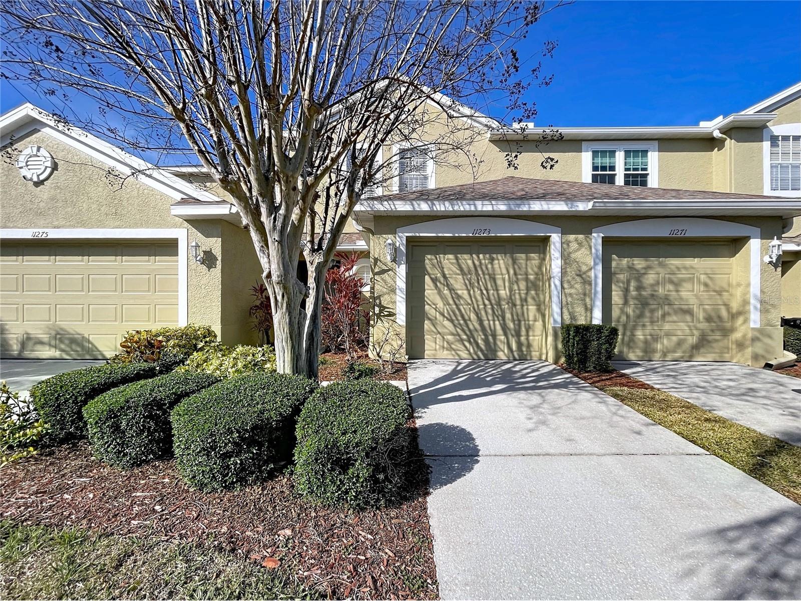 11273 Kapok Grand Circle Madeira Beach FL 33708 TB8478866 image3