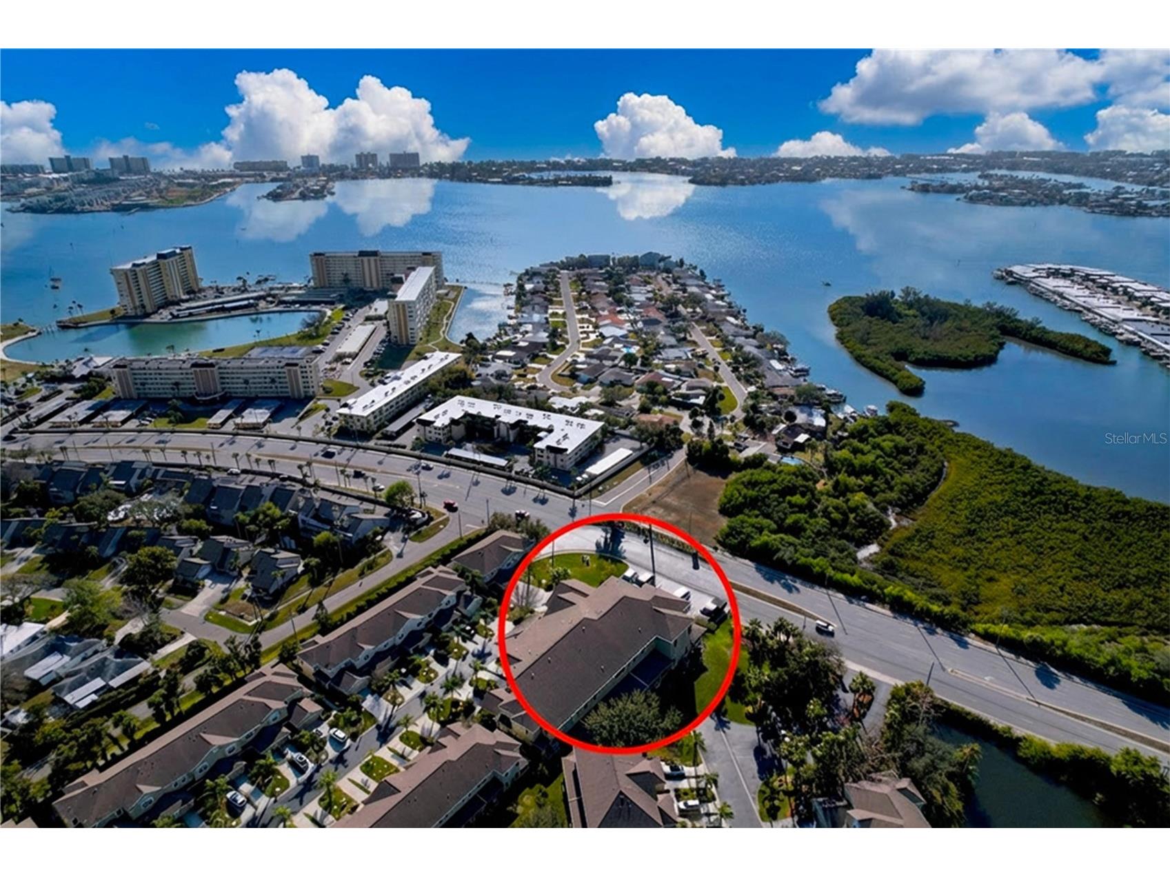 11273 Kapok Grand Circle Madeira Beach FL 33708 TB8478866 image57
