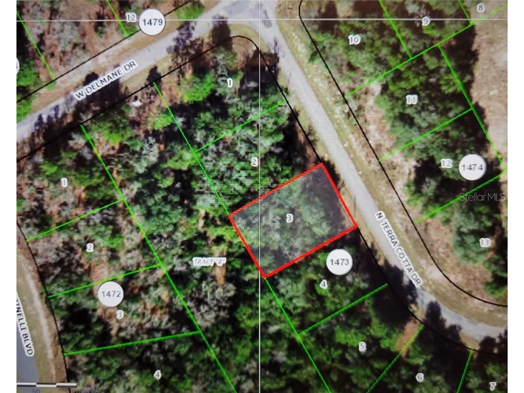 11274 N Terra Cotta Drive Citrus Springs FL 34433 OM644900 image1