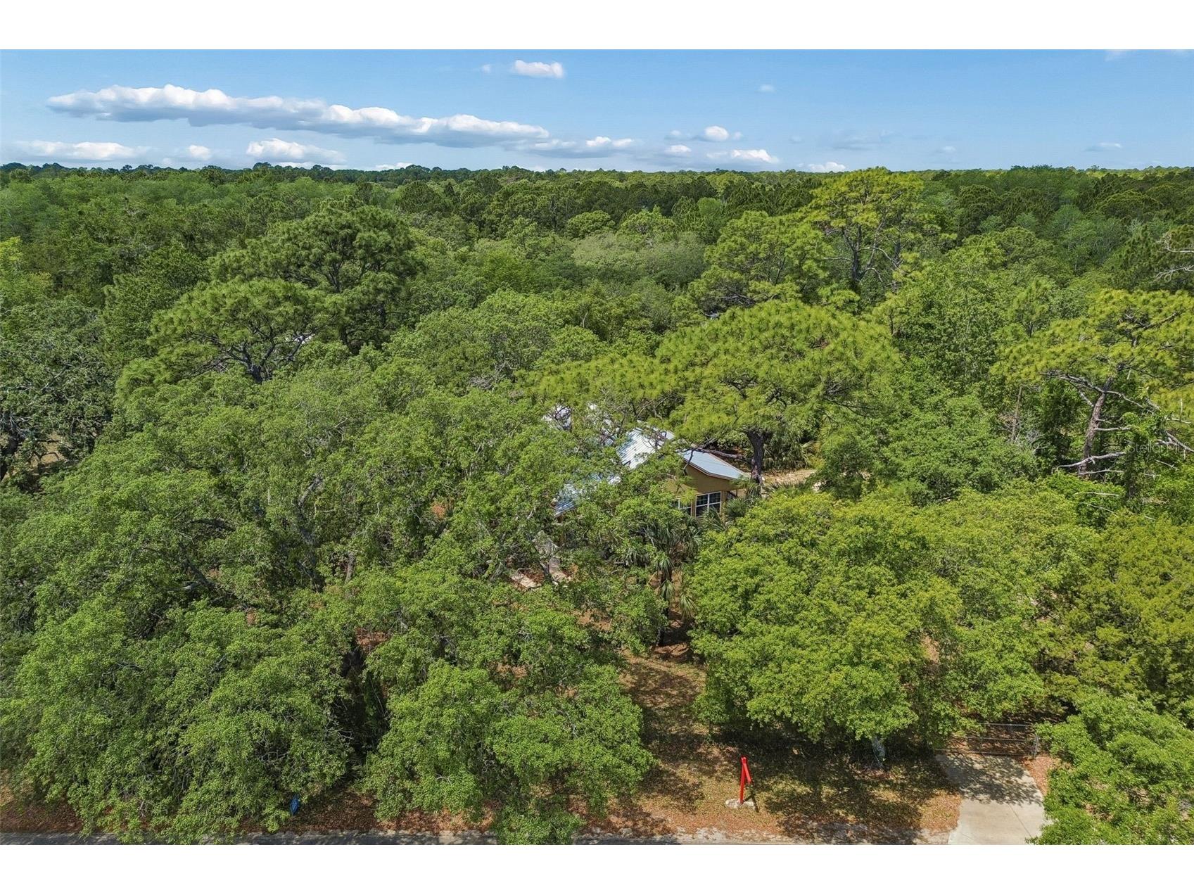 11274 S Riviera Drive Homosassa FL 34448 TB8506766 image41
