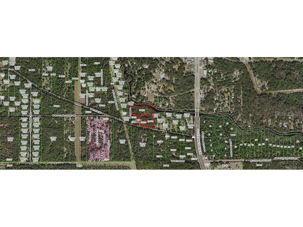 11275 N Rain Point Inglis FL 34449 TB8345364 image2