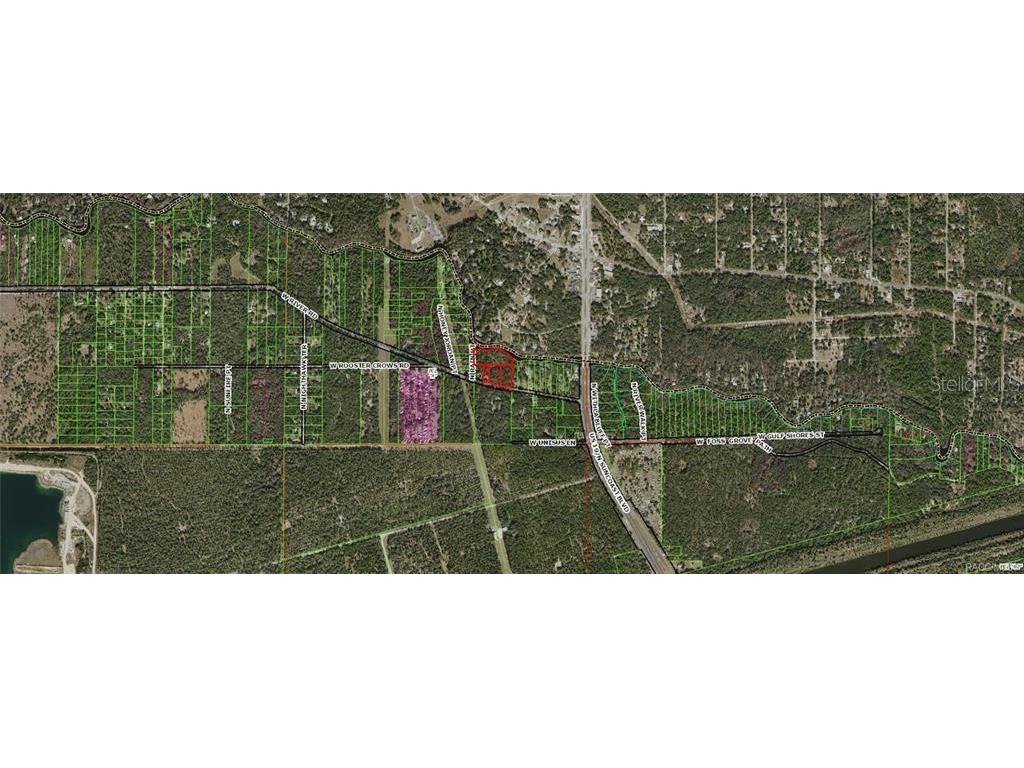 11275 N Rain Point Inglis FL 34449 TB8345364 image3