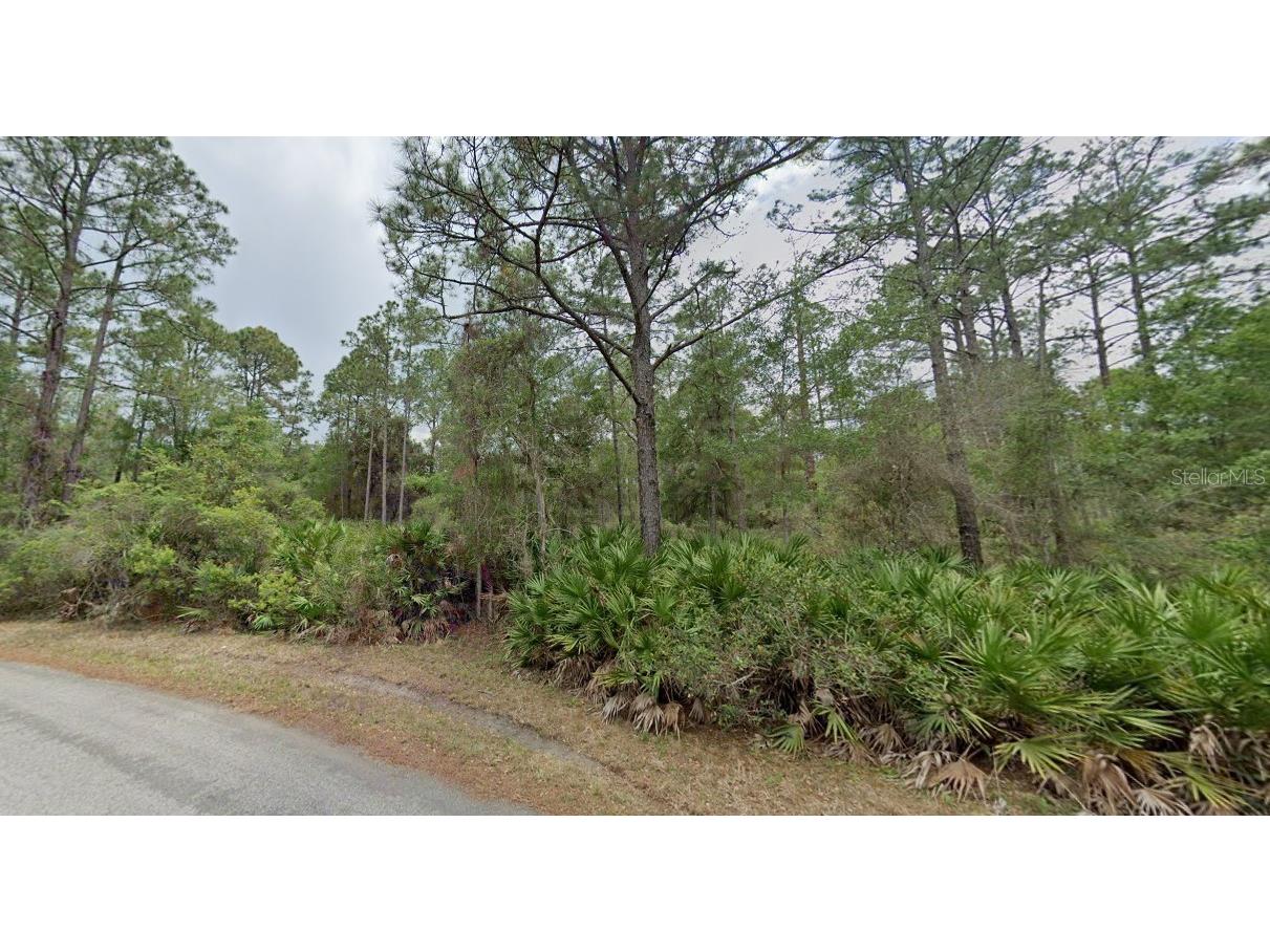 11276 W Cornflower Drive Crystal River FL 34428 P4932179 image1