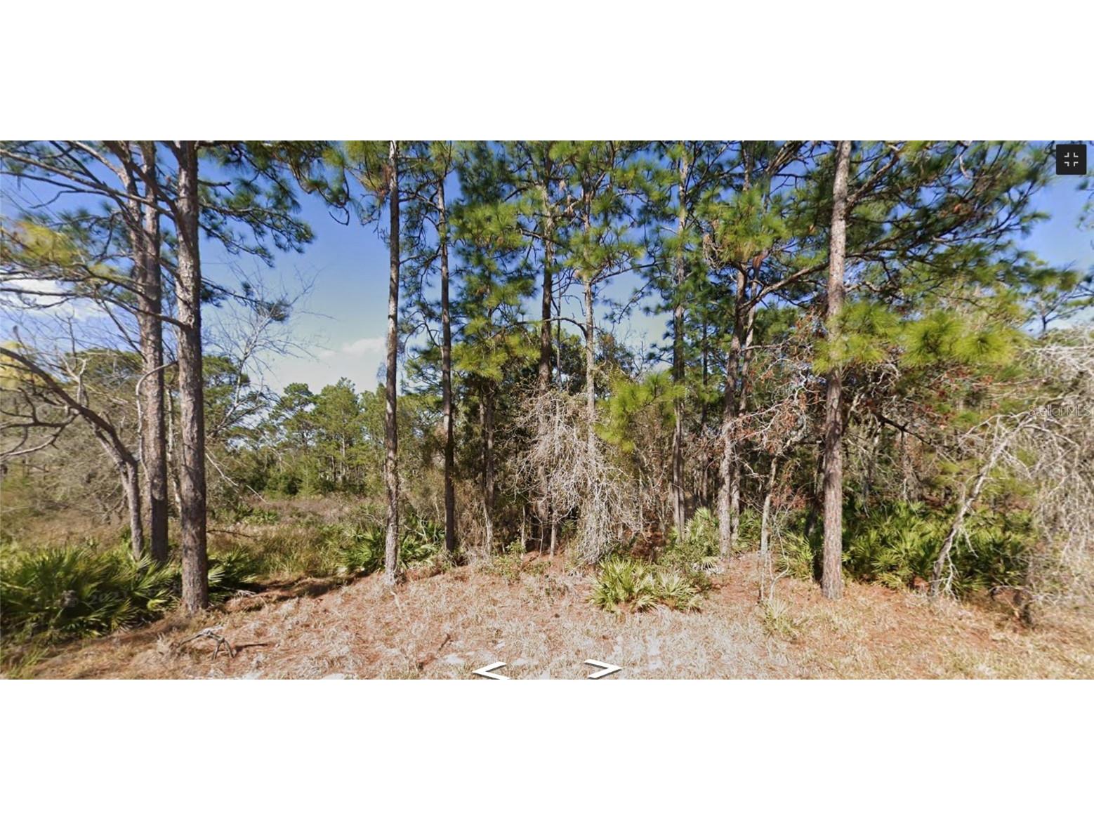 11277 Fool Duck Avenue Weeki Wachee FL 34613 W7865380 image1