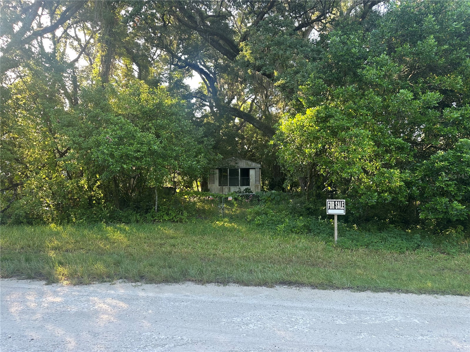 1128 N Jackson Avenue S Spring Hill FL 34604 W7887151 image1