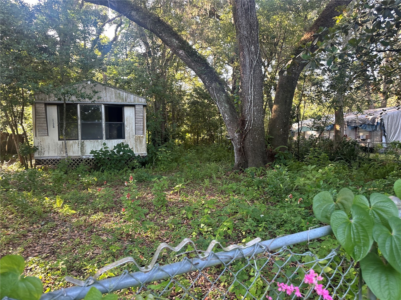 1128 N Jackson Avenue S Spring Hill FL 34604 W7887151 image2