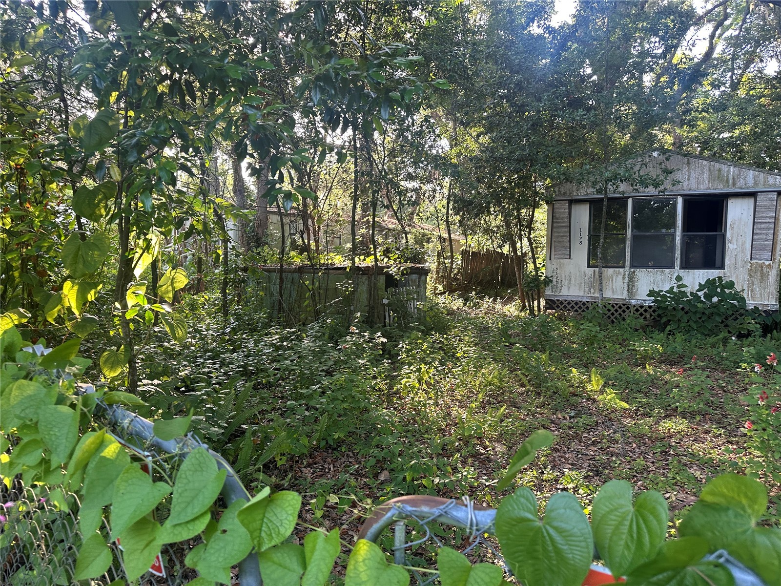 1128 N Jackson Avenue S Spring Hill FL 34604 W7887151 image3