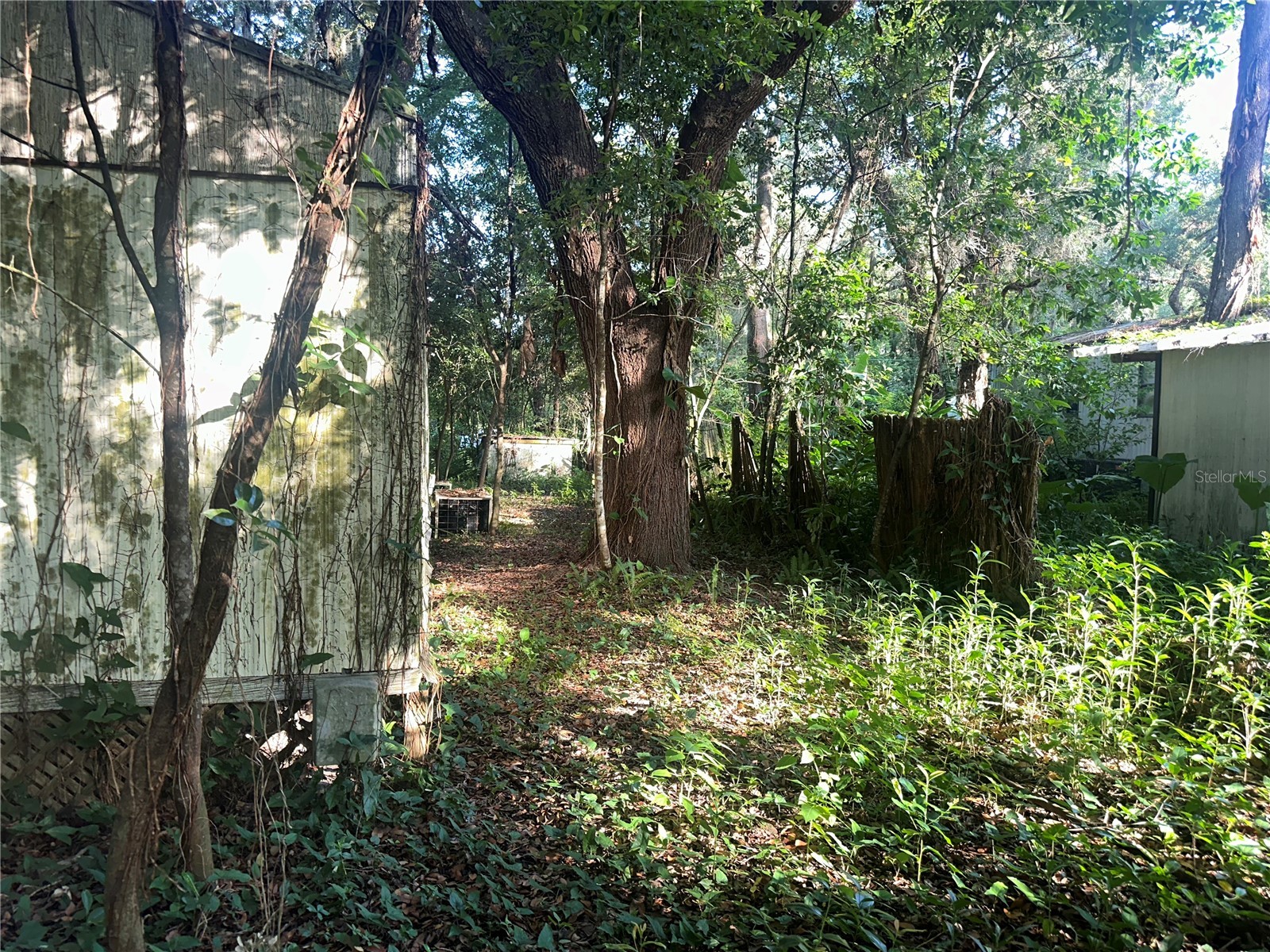 1128 N Jackson Avenue S Spring Hill FL 34604 W7887151 image5