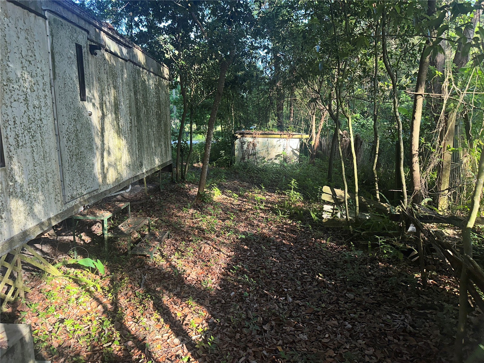 1128 N Jackson Avenue S Spring Hill FL 34604 W7887151 image6