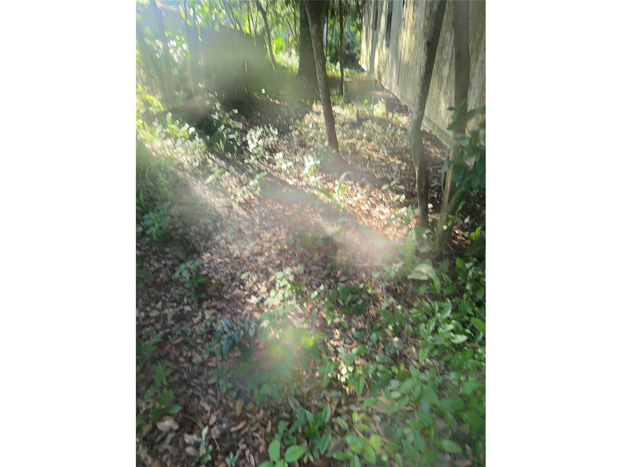 1128 N Jackson Avenue S Spring Hill FL 34604 W7887151 image9