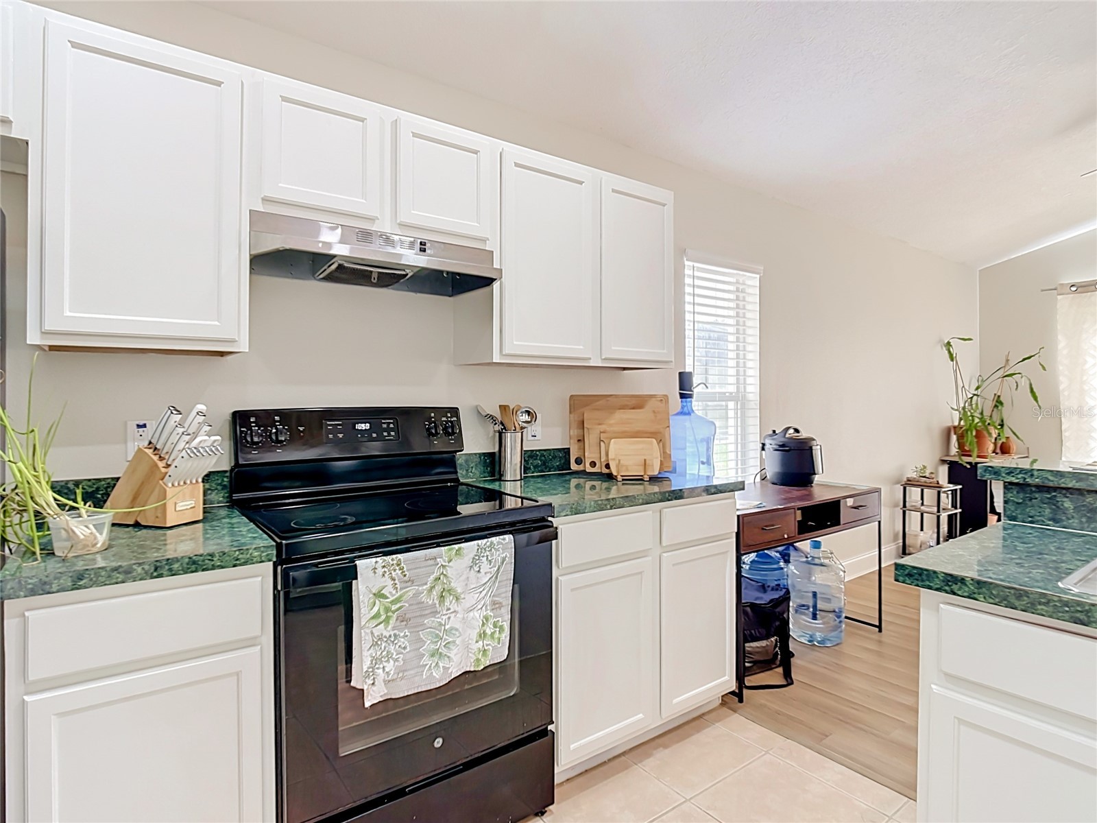 1128 Pinedale Drive Davenport FL 33897 O6414449 image41