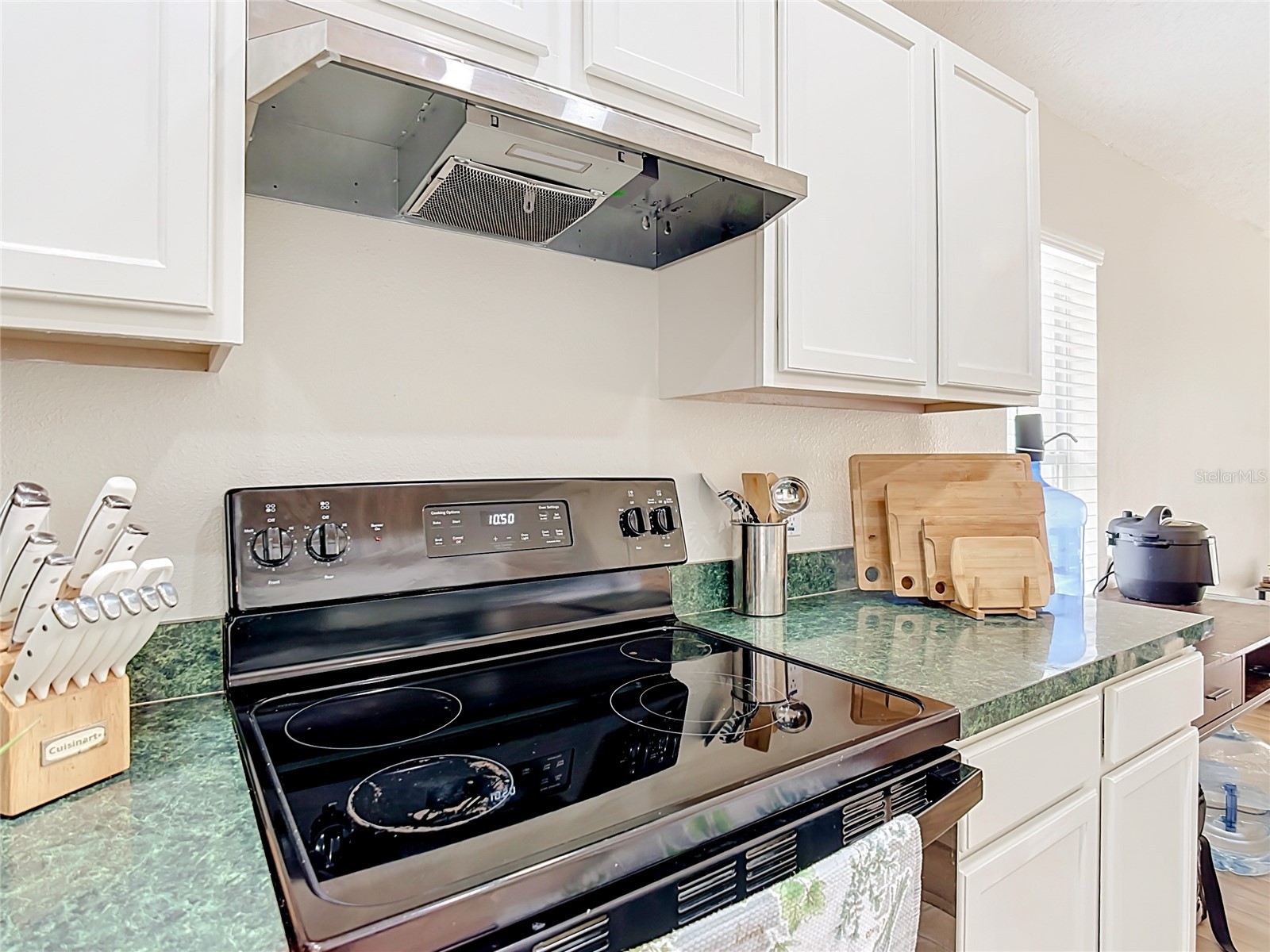 1128 Pinedale Drive Davenport FL 33897 O6414449 image42