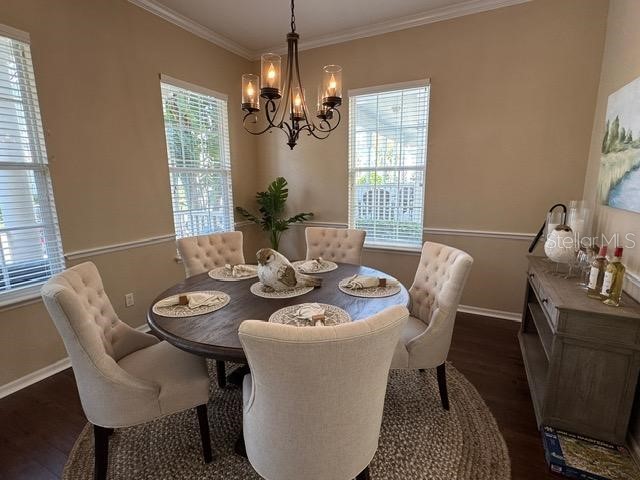 1128 Rush Street Celebration FL 34747 S5145389 image15