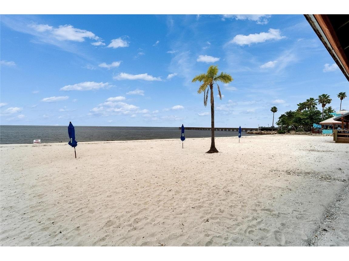 1128 Seagrape Drive Ruskin FL 33570 TB8450820 image100