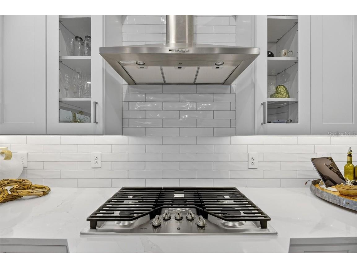 1128 Seagrape Drive Ruskin FL 33570 TB8450820 image30