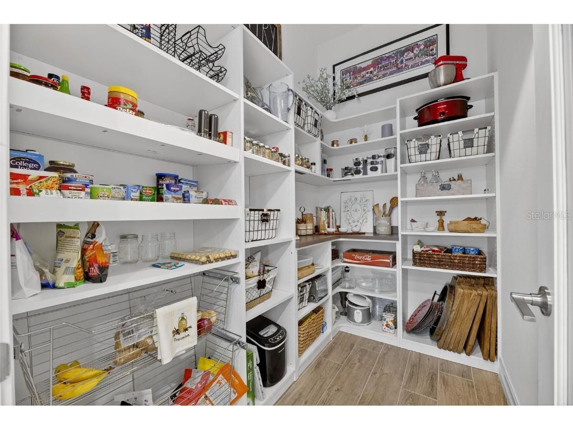 1128 Seagrape Drive Ruskin FL 33570 TB8450820 image32