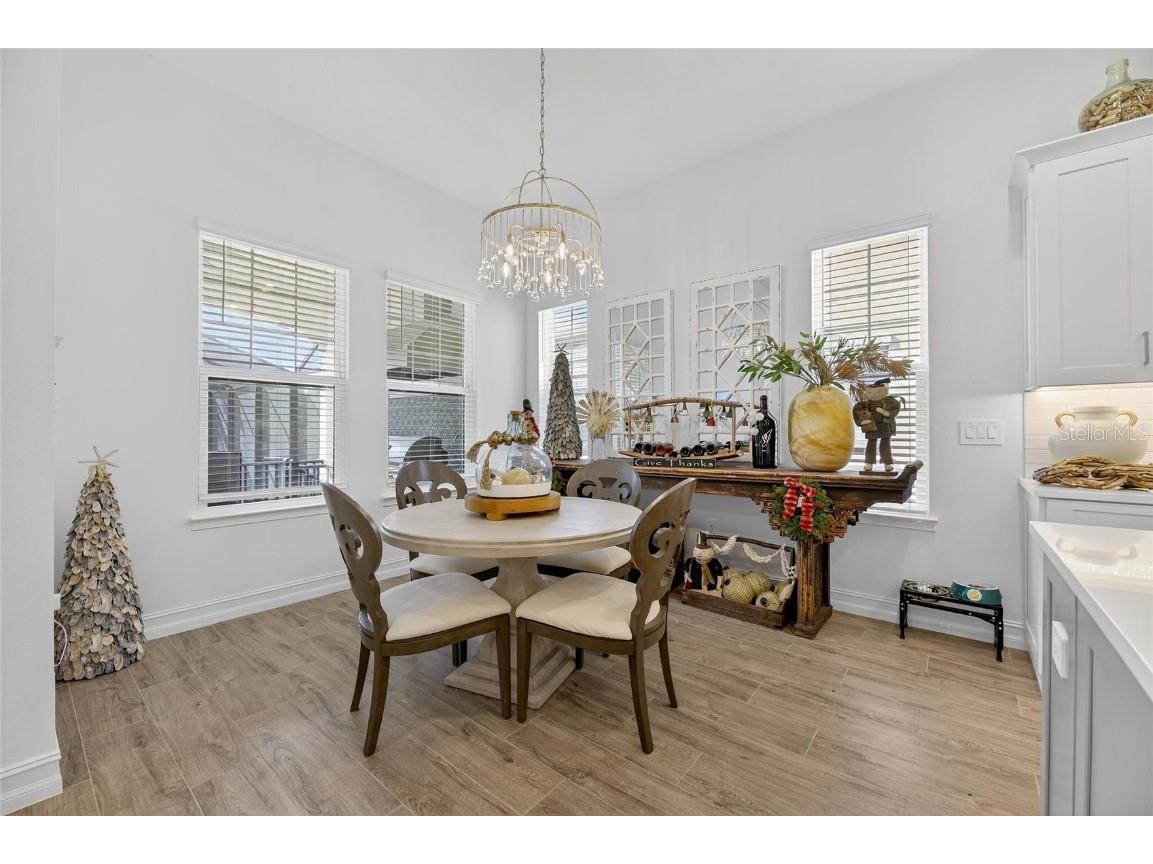 1128 Seagrape Drive Ruskin FL 33570 TB8450820 image33