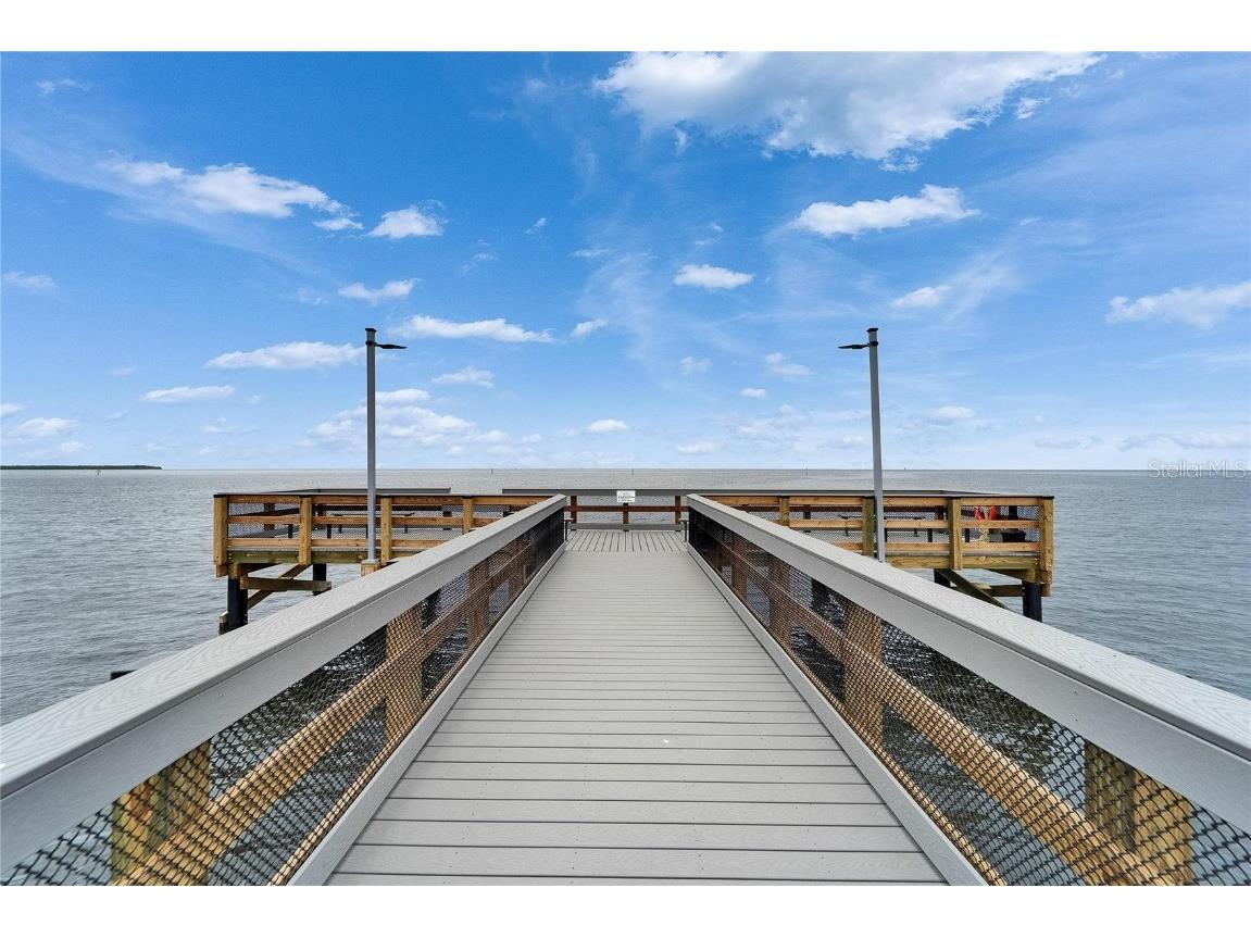 1128 Seagrape Drive Ruskin FL 33570 TB8450820 image99