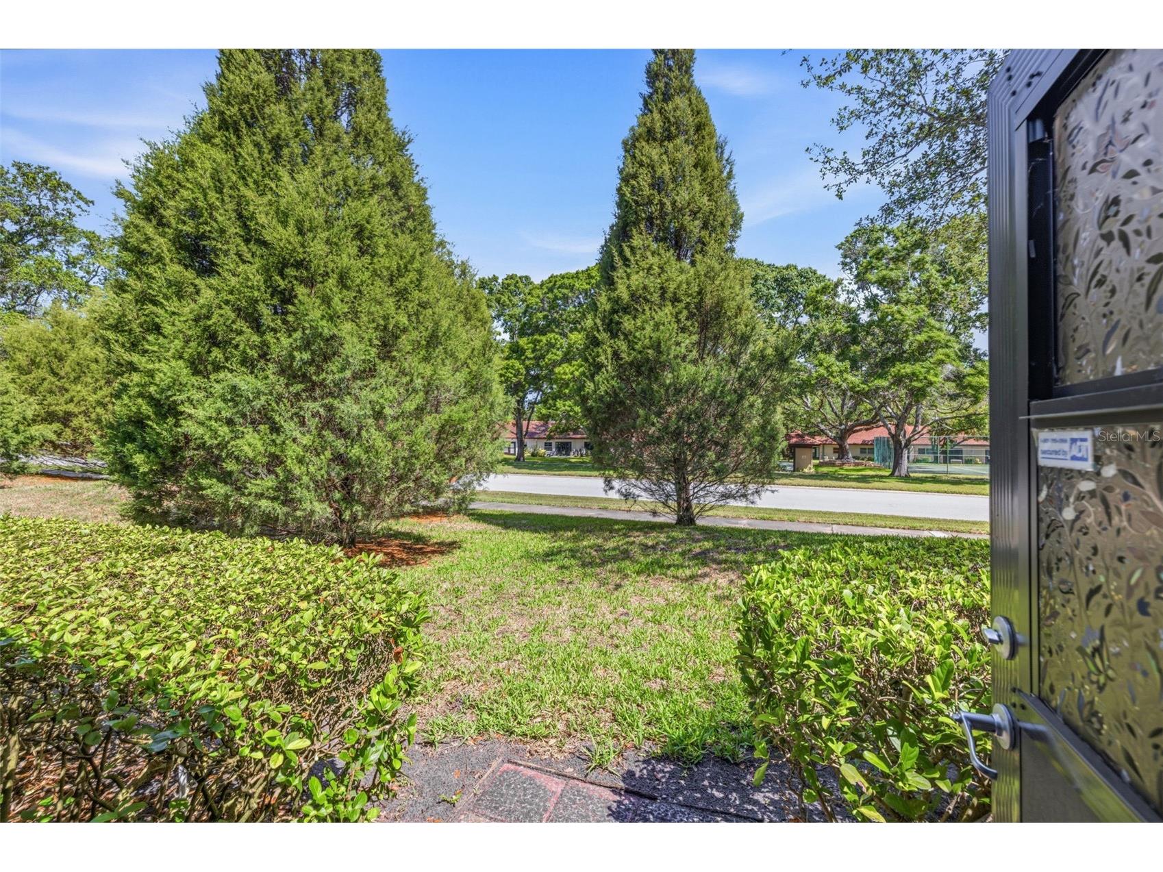 1128 Tarridon Court Dunedin FL 34698 TB8510402 image25