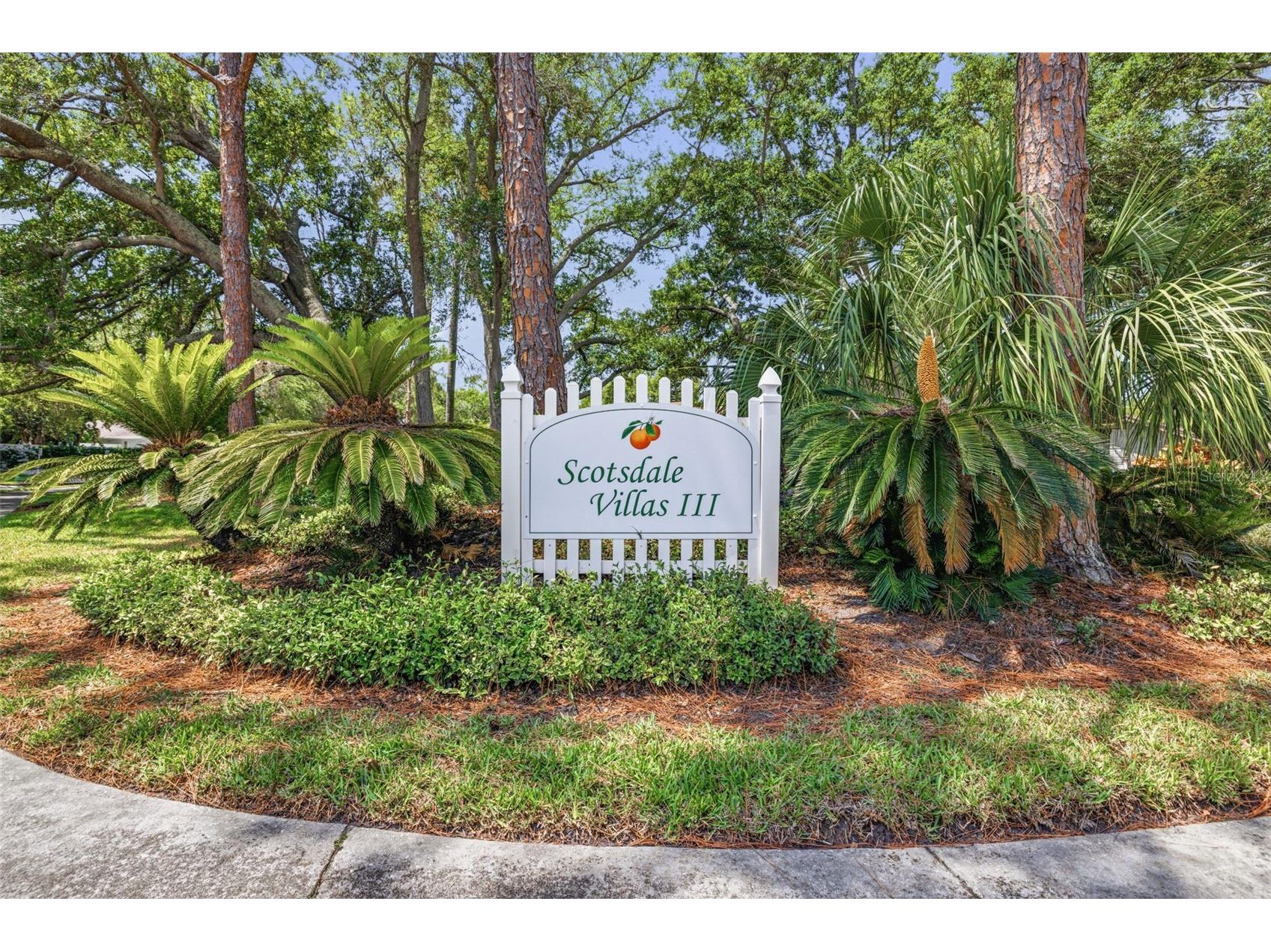 1128 Tarridon Court Dunedin FL 34698 TB8510402 image30