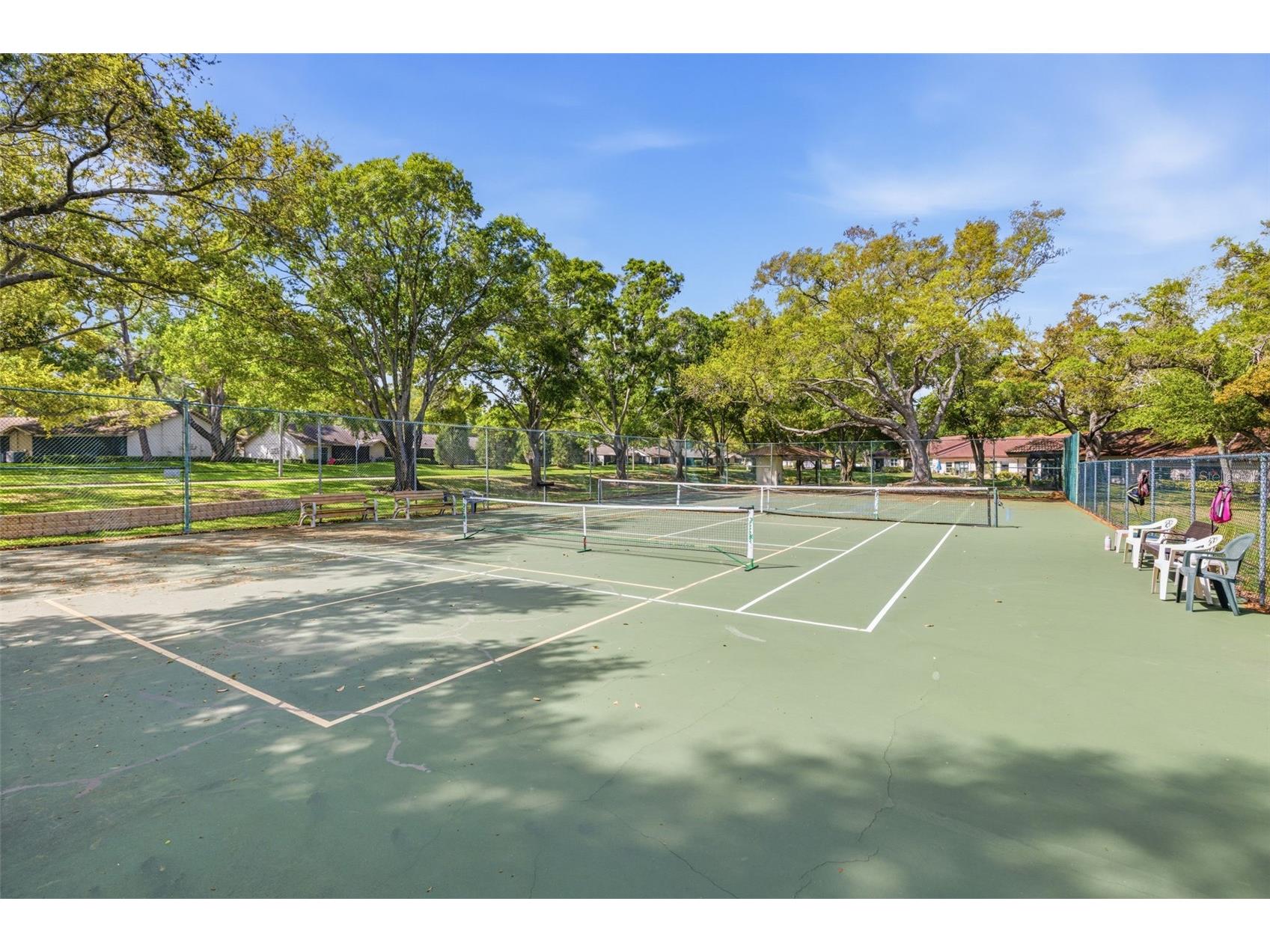 1128 Tarridon Court Dunedin FL 34698 TB8510402 image33