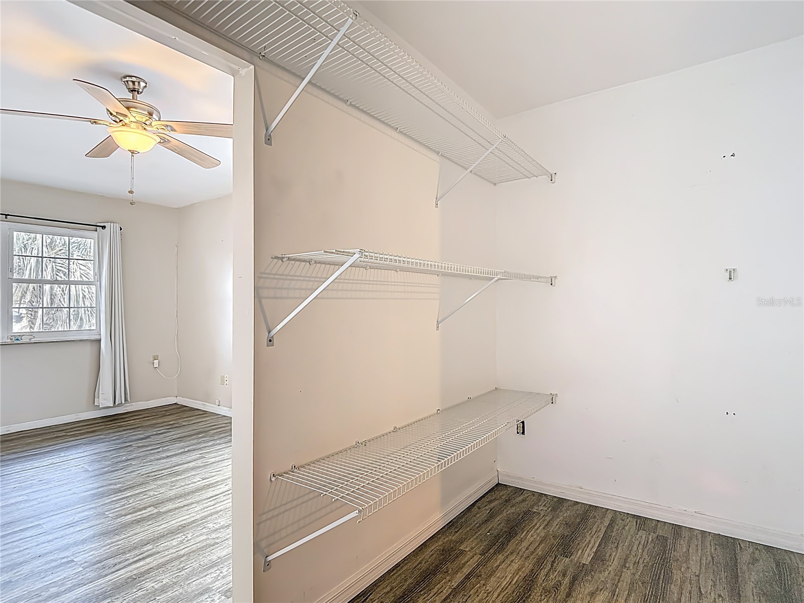 1128 Trellis Avenue Spring Hill FL 34606 TB8477574 image36