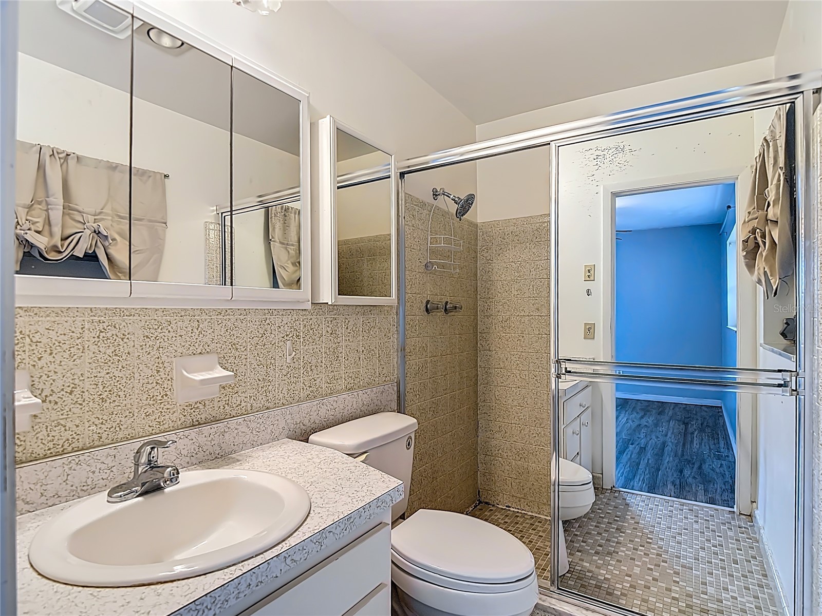1128 Trellis Avenue Spring Hill FL 34606 TB8477574 image37