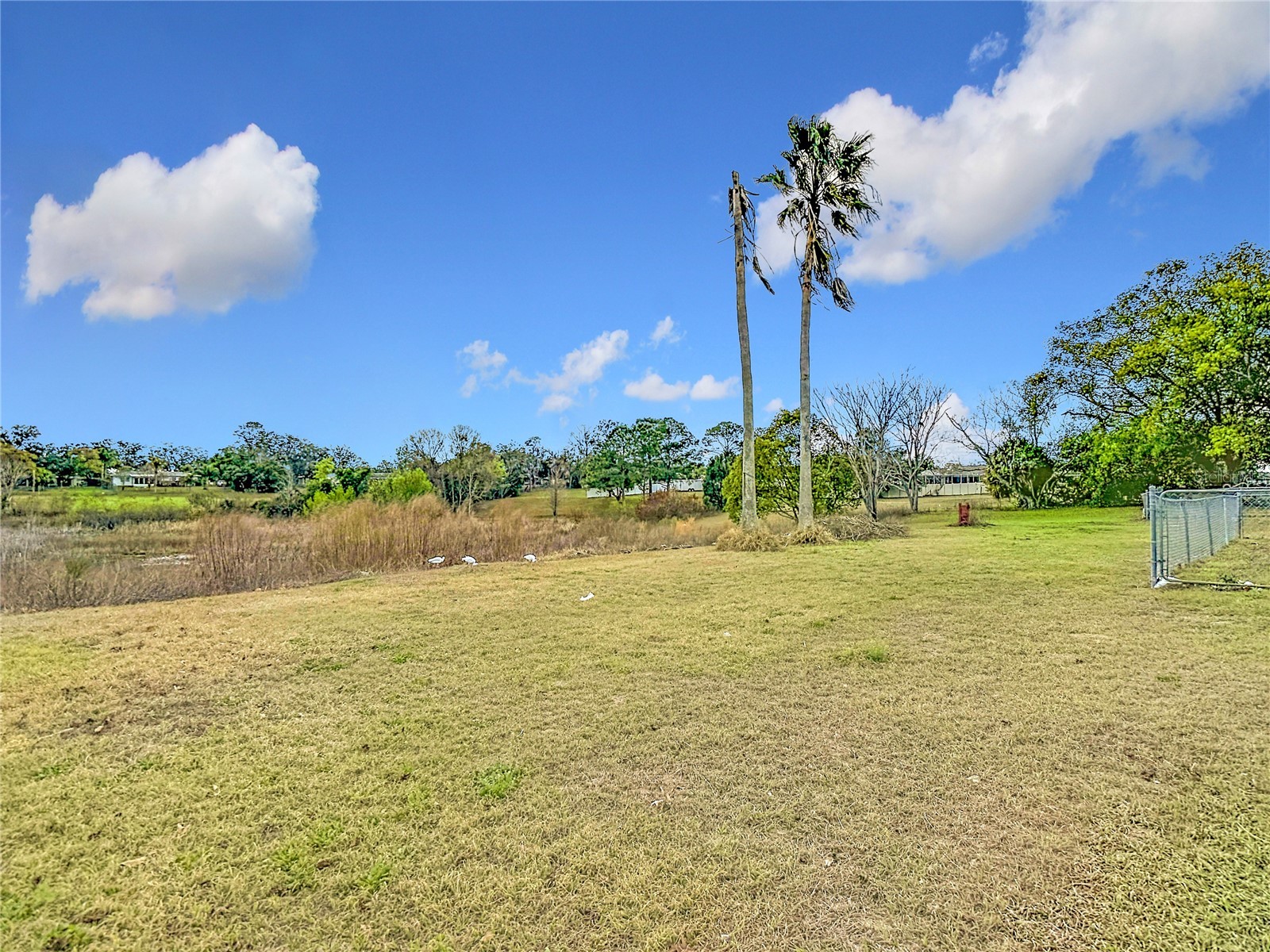 1128 Trellis Avenue Spring Hill FL 34606 TB8477574 image71
