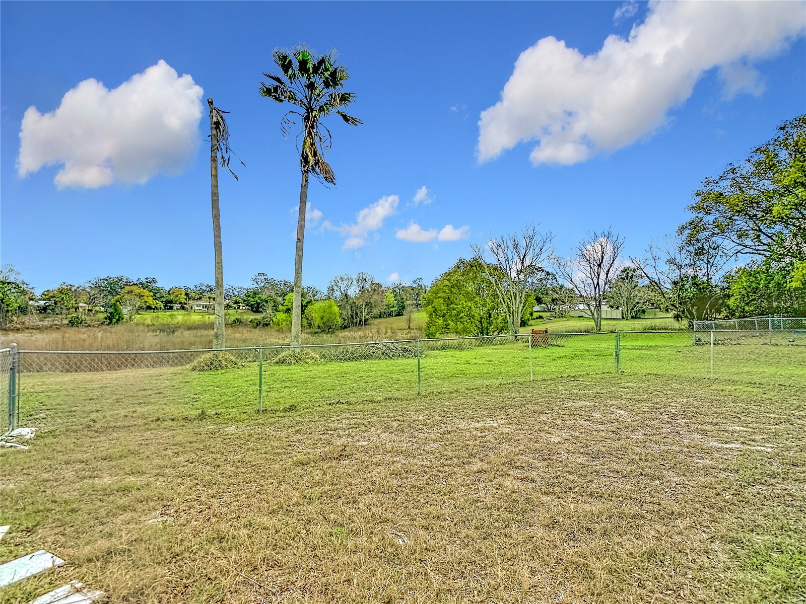 1128 Trellis Avenue Spring Hill FL 34606 TB8477574 image72