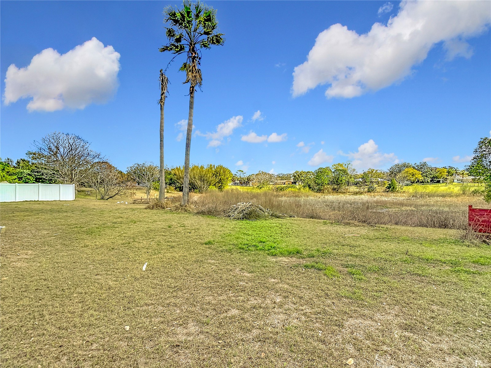 1128 Trellis Avenue Spring Hill FL 34606 TB8477574 image75