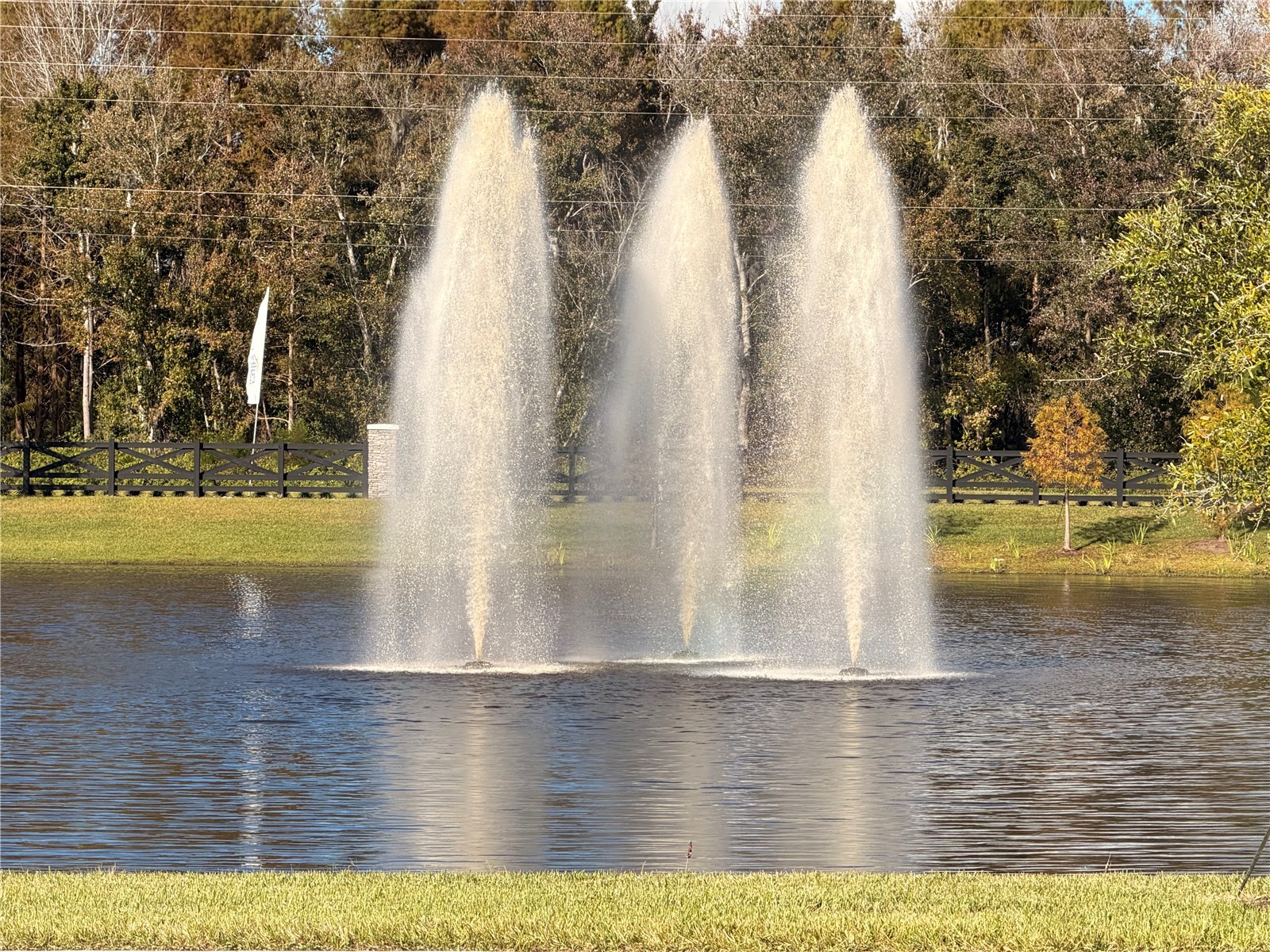 11280 Blue Bay Drive Orlando FL 32832 O6367347 image40