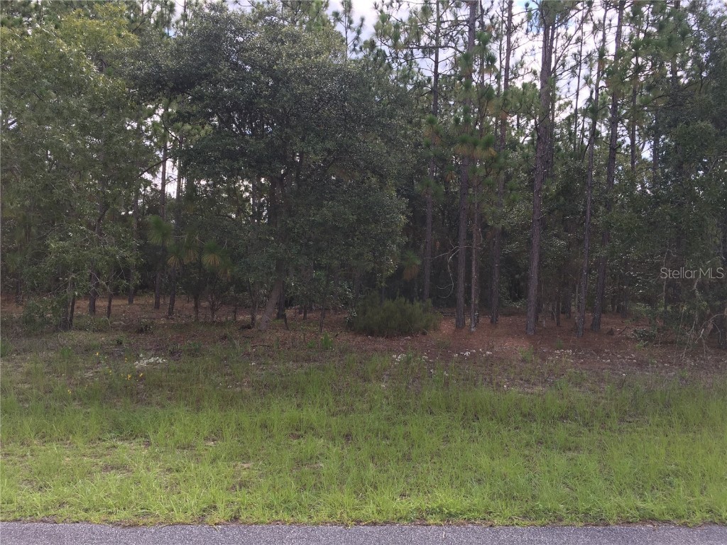 11280 N Kenney Loop Citrus Springs FL 34433 G5044937 image1