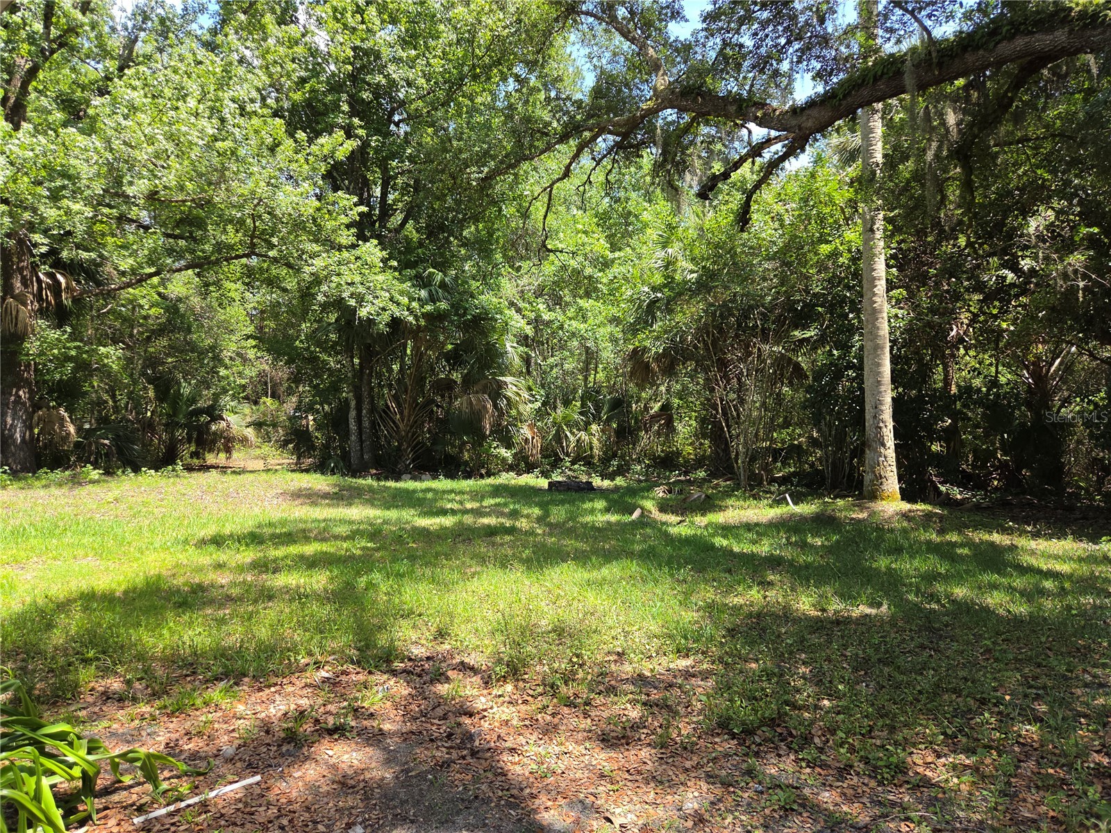 11280 NE Highway 314 Silver Springs FL 34488 OM725879 image6