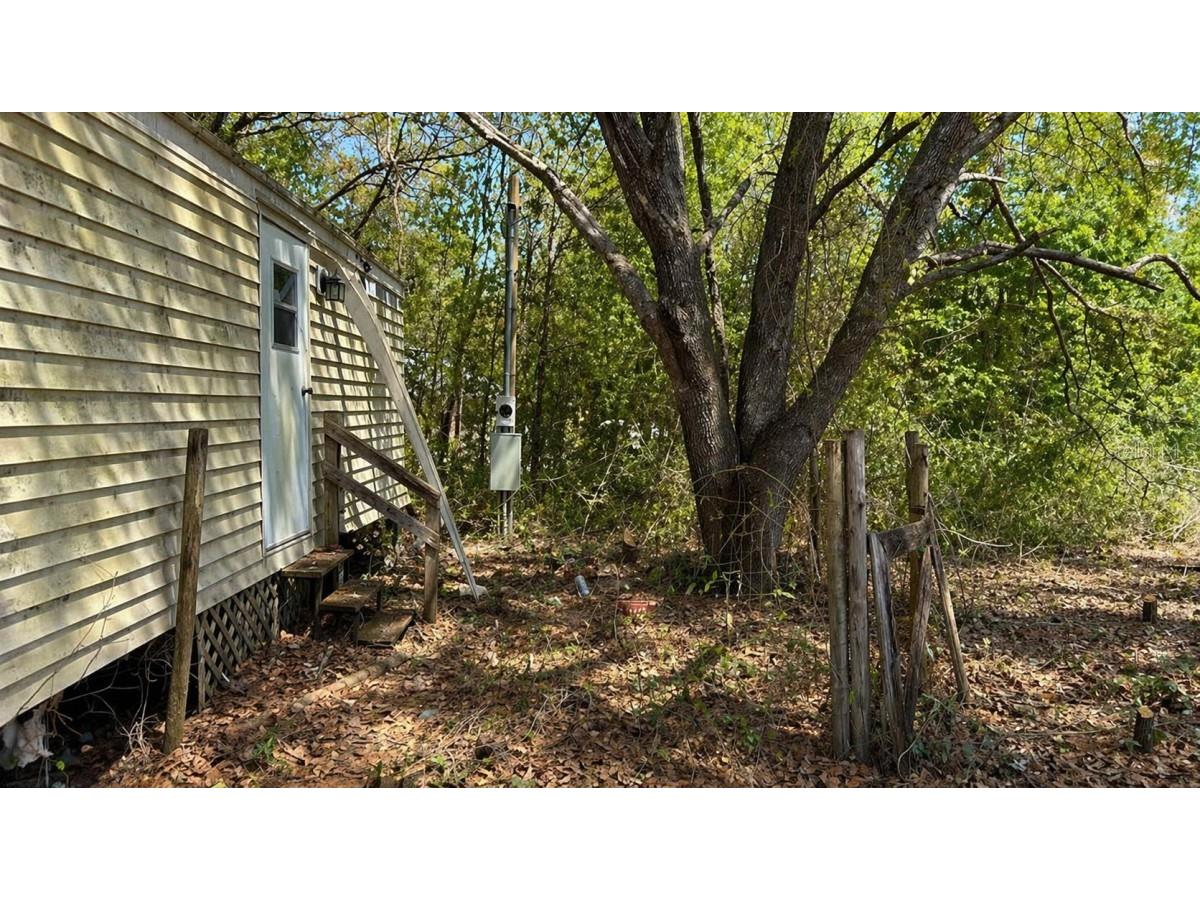 11281 NE 64th Place Williston FL 32696 A4690973 image3