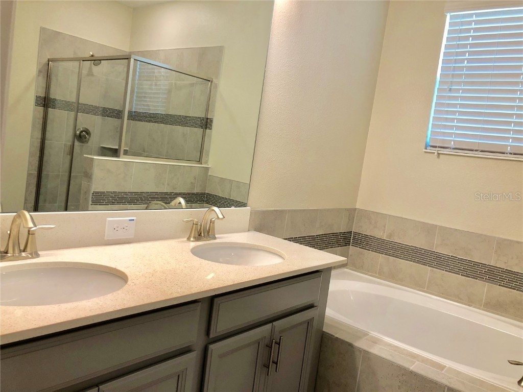 11282 Whistling Pine Way Orlando FL 32832 S5133897 image12